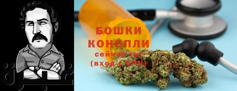 Каннабис OG Kush  Александров 